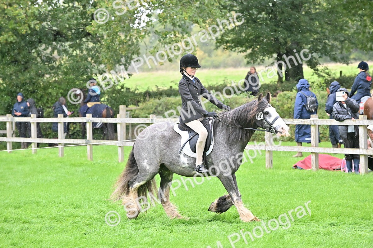 SBM_42977 - S12 - Family Horse & Pony