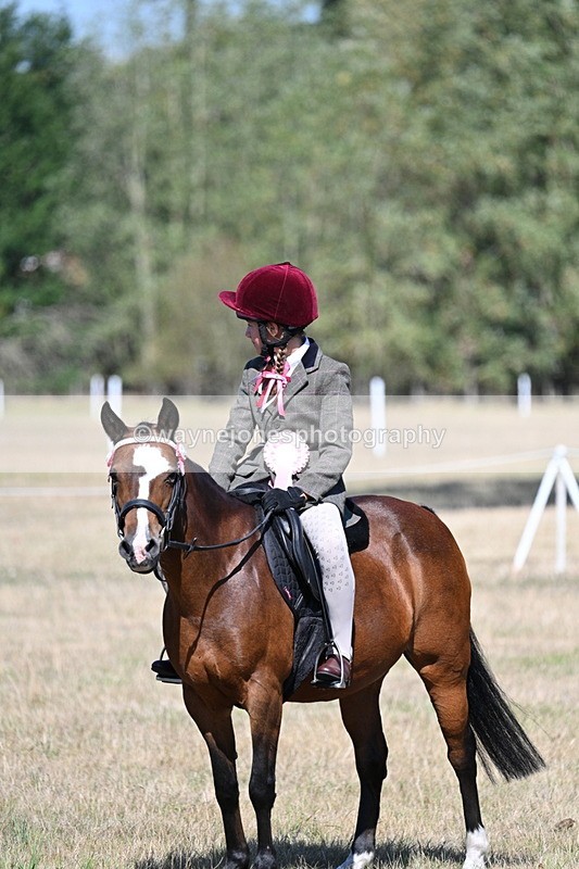 WJ7_4199 - Class 9 Mountain & Moorland Ridden