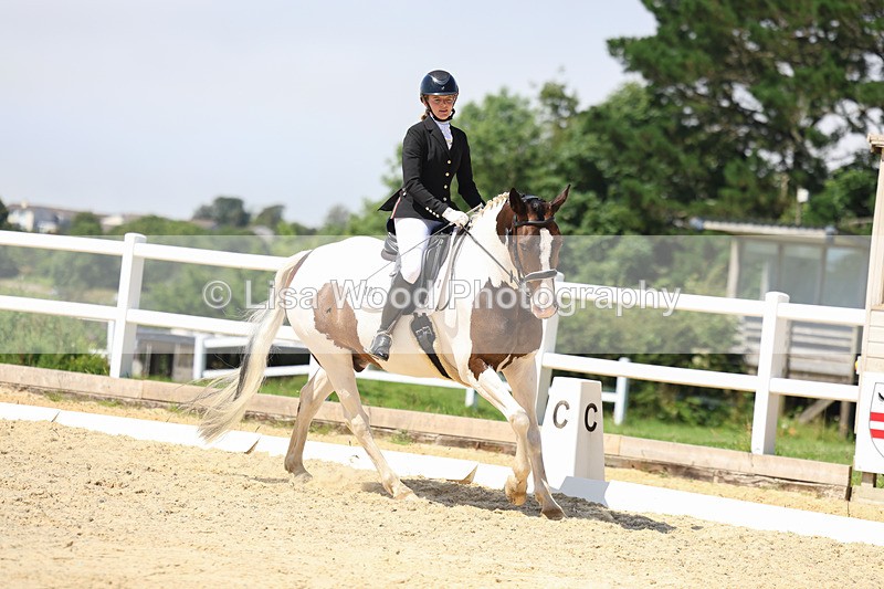 3E7A2015 - Class 7: Unaffiliated Novice 3 2024 Section B