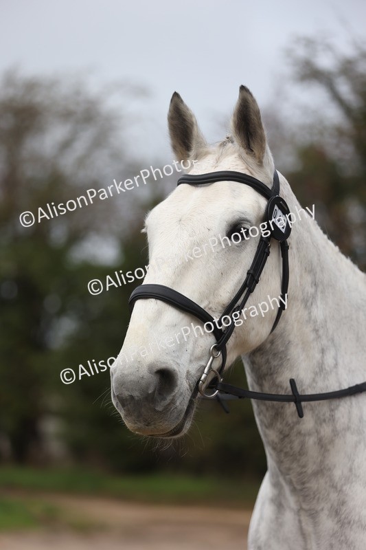 20251116-0085 - Class 1 - 60cm