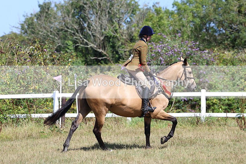 3E7A6502 - Working Hunter Championship