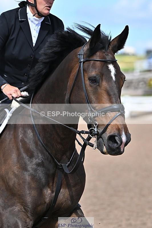 240619A-160330-01116 - Cls 5 Snr Foxhunter and 1.20m Open