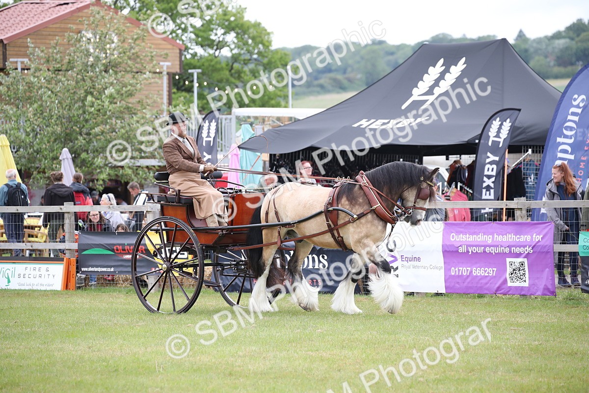 SBM_05619 - Class 12-15 - HOYS Private Driving