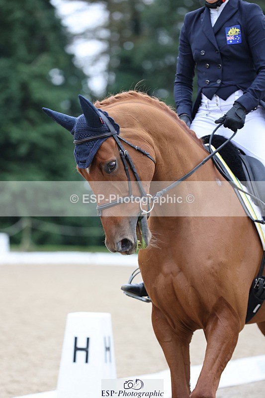 241024-140909-04011 - 239-Lissa.Green-KILLBUNNY.ANDY