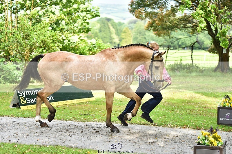 240522-155902-00620 - 109-MJM_BOBBY_DAZZLER-Rosie_Ringer