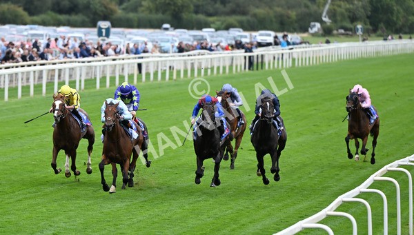 200825-084 Pride Of Arras - Race 3 3.00pm Sky Bet Great Voltigeur Stakes