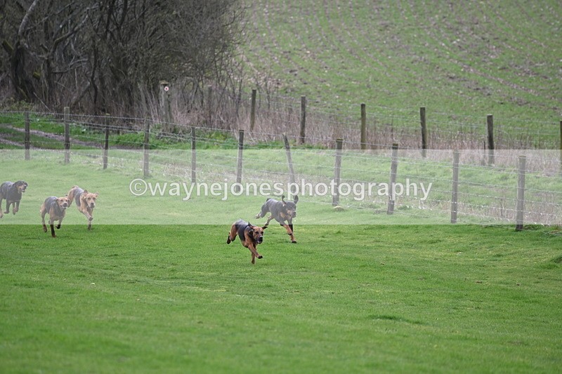 WJ6_8959 - Line Three