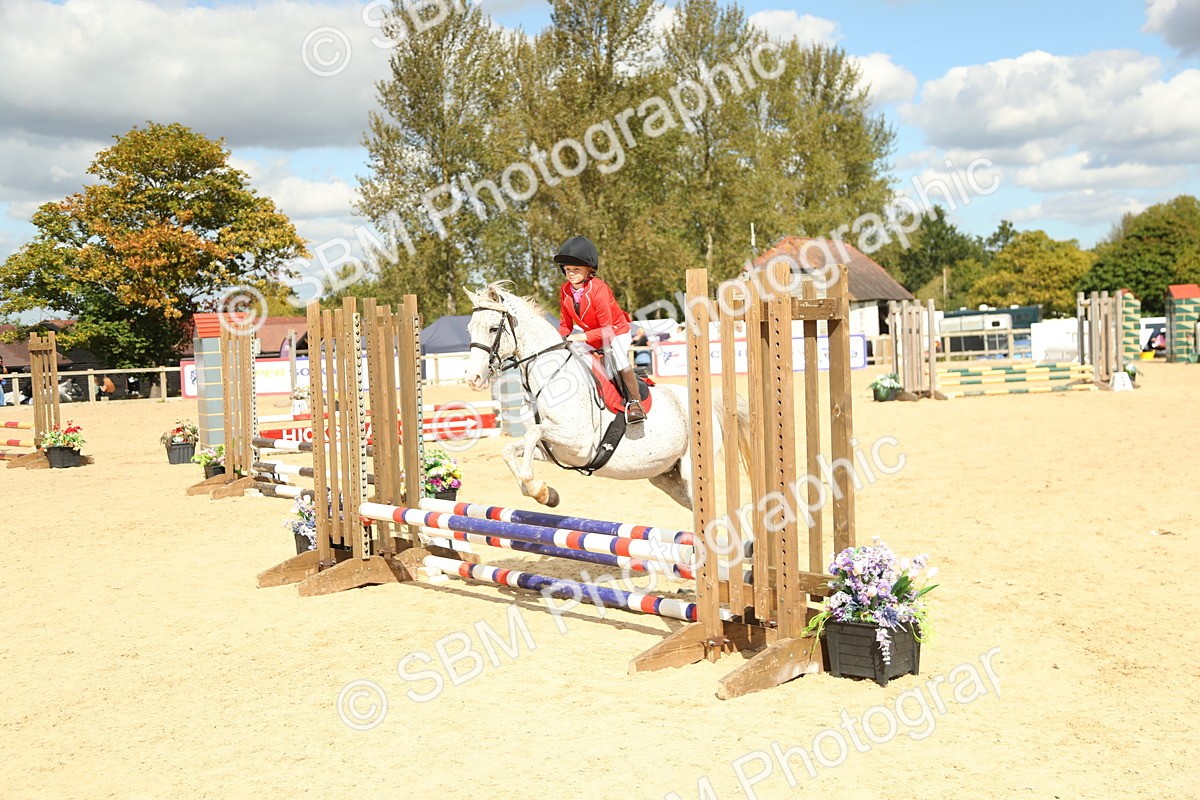 SBM_41350 - J6 - Junior Pony 55cm Championships