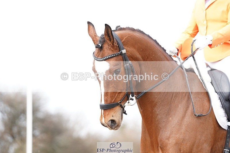 250322-130512-00434 - DR Elementary 2 Test