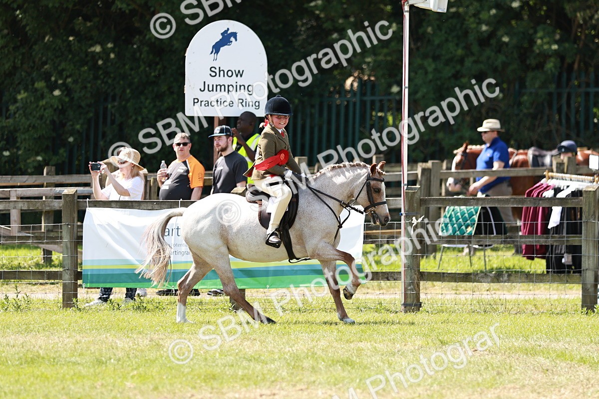 SBM_13671 - Class 108-109 - BSPS LIHS Open Gradle & Nursery Stakes