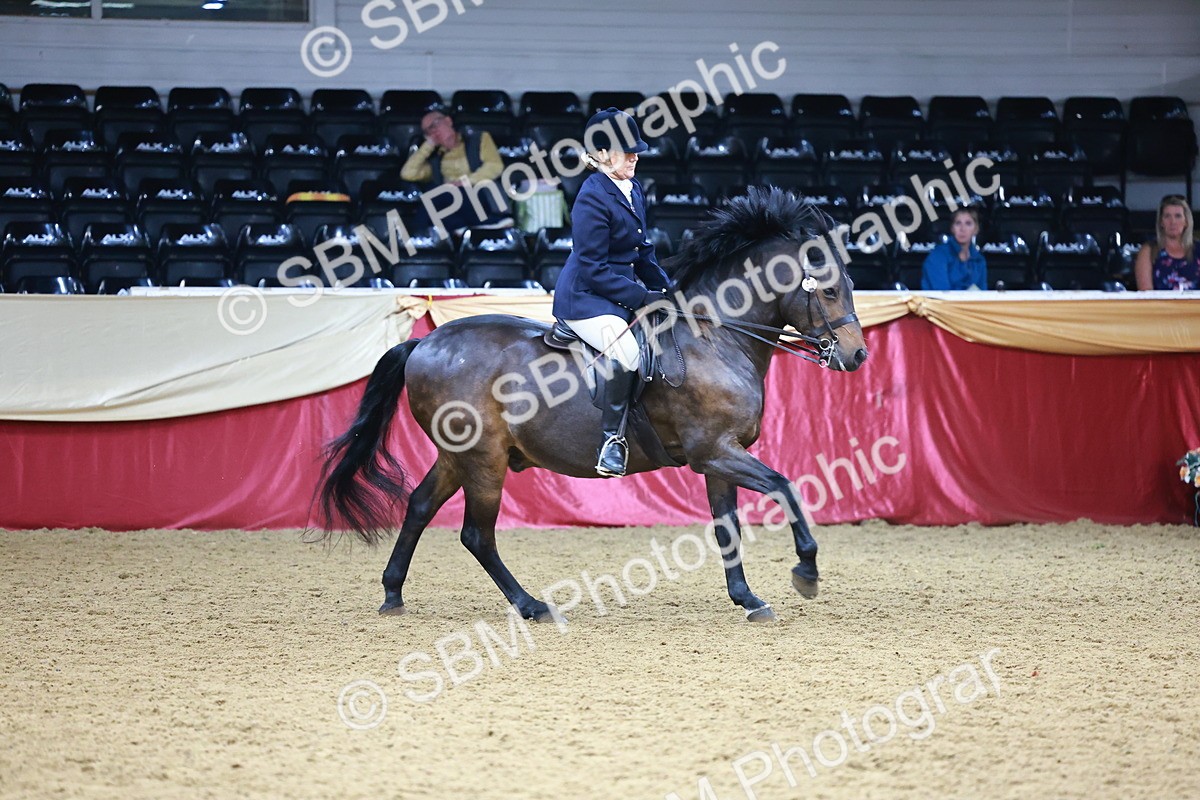 SBM_23379 - Class 904 - Supreme Final - Ridden Diamond