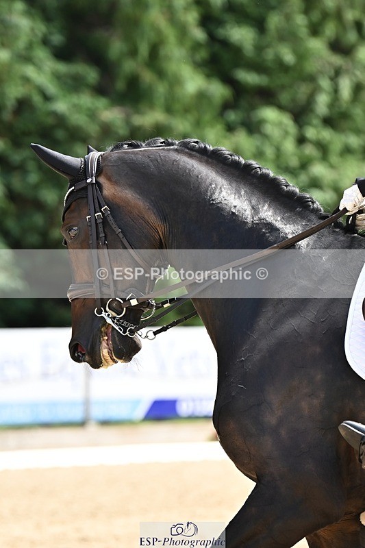 240811-142135-06342 - 165-Emily.Ormerod-FLS.Samphire