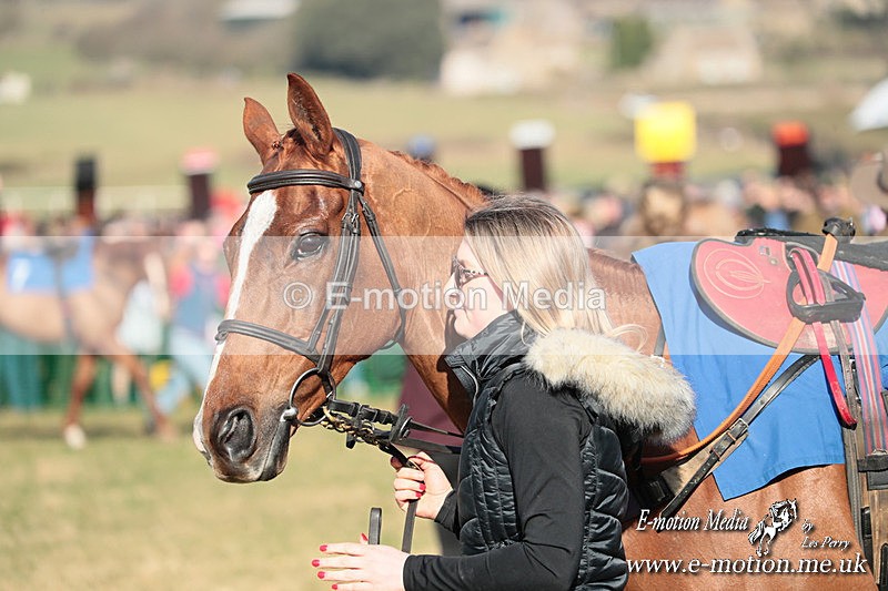 PtP 010325 251 - Beaufort Races Didmarton 01/03/25