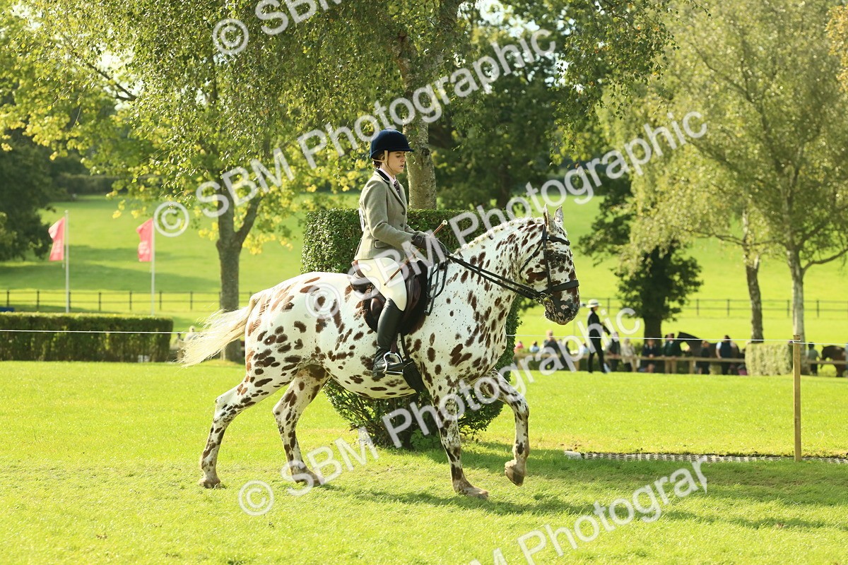 SBM_62394 - S62 - Foreign Breeds Ridden