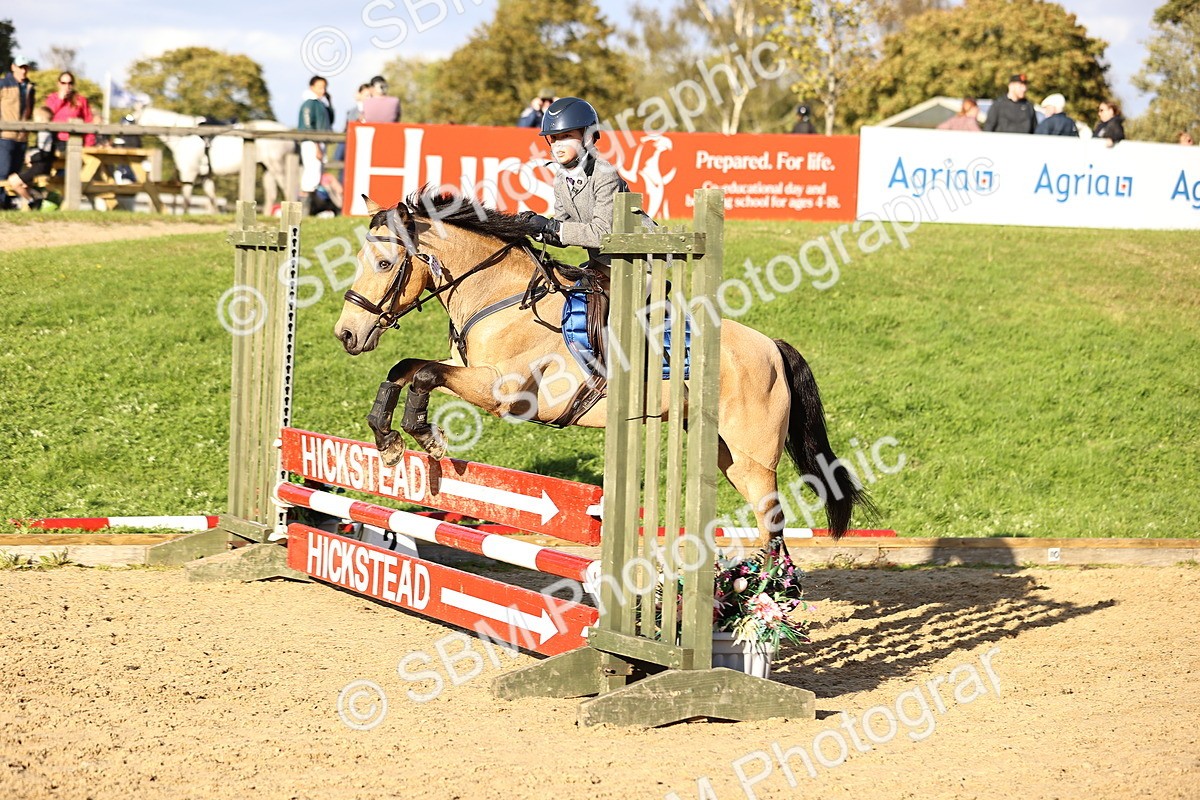 SBM_51878 - J10 - Junior Pony 75cm Championship
