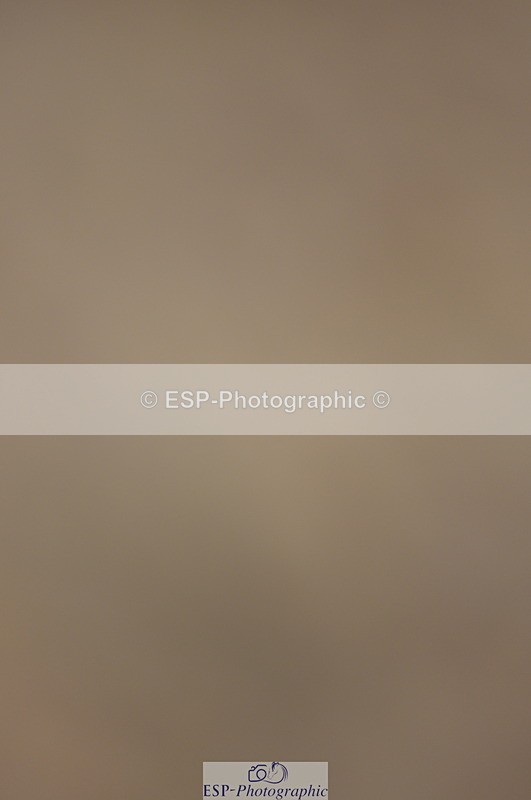 230916A-105048-03520 - Cls 21 British Novice & 90cm Open