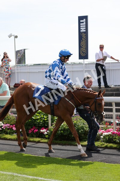 yr08072022r3-5 - Race 3 3.15pm William Hill Play Responsibly Irish EBF Novice Fillies Stakes