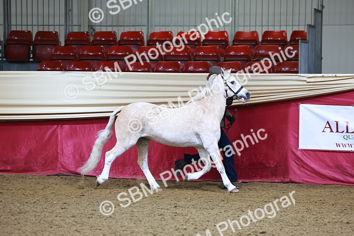 SBM_21630 - Class 901 - Supreme Final - IH  Diamond