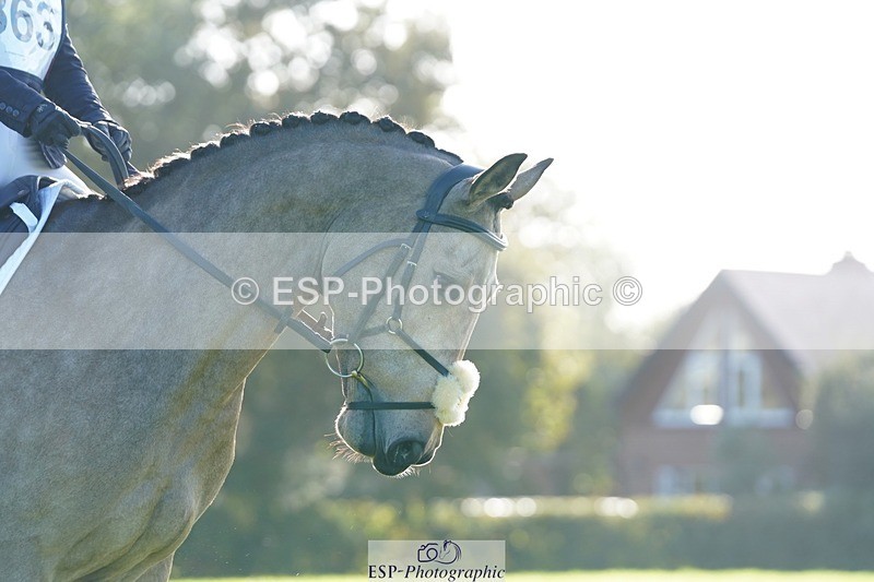 241025-104244-06051 - 363-Emily.Dobson-SILVERLININGS.APHRODITE