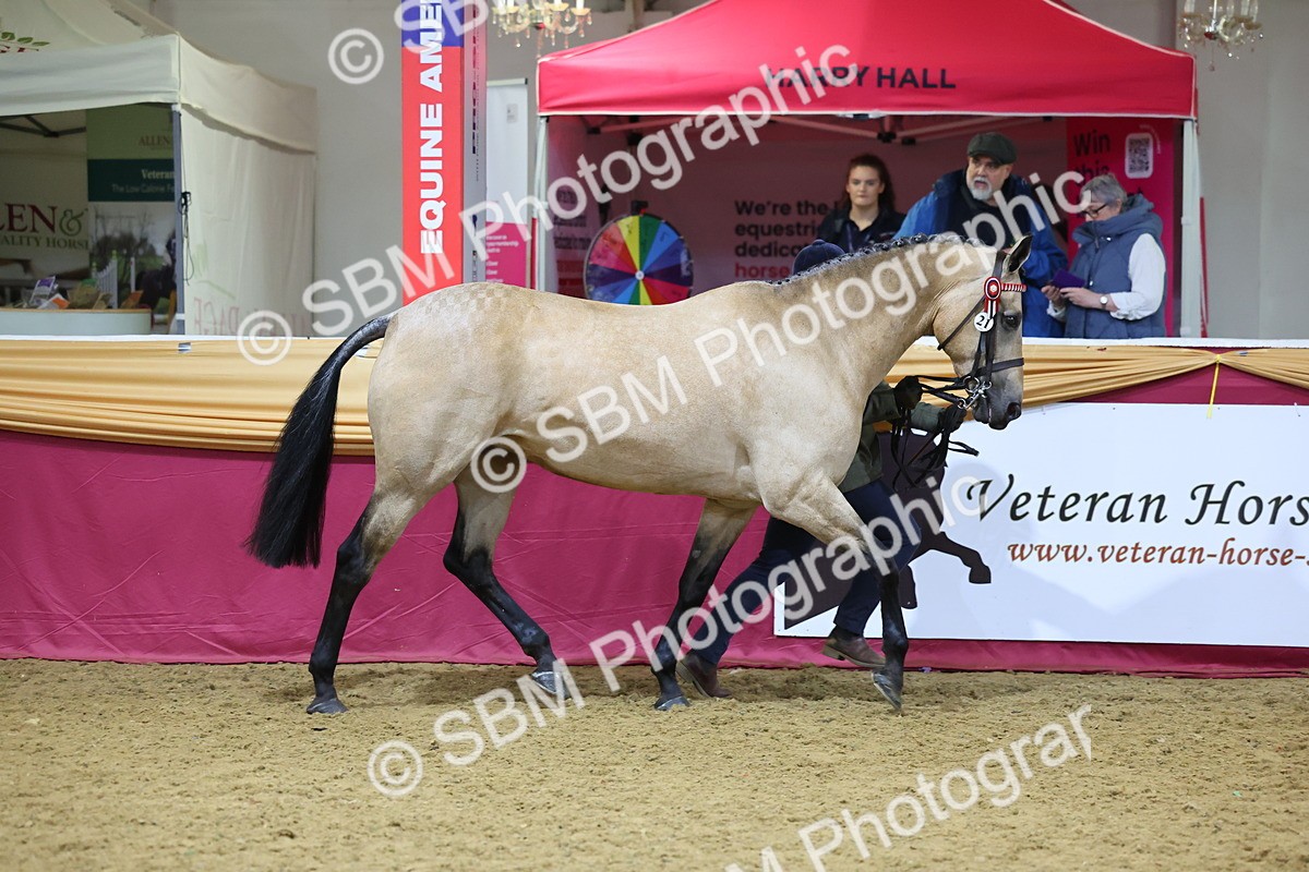 SBM_20797 - Class 902 - Supreme Final IH Veteran