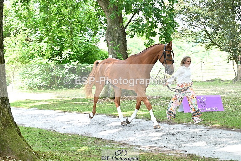 250521A-151638-00392 - B-306-Kat.Raybould-DALOUBET.MANSOLEIN.Z