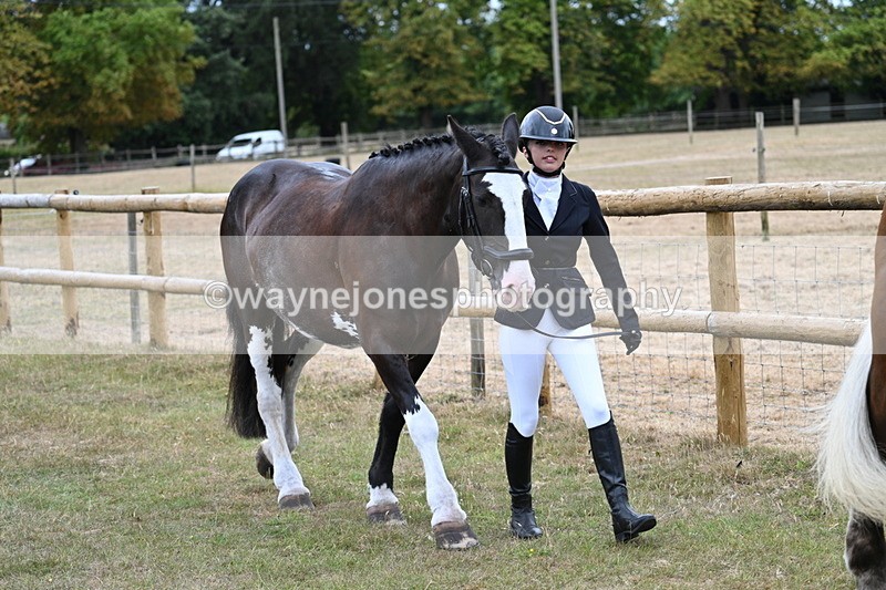 WJ7_9084 - Class 4a Prettiest Mare 14.2hh and over