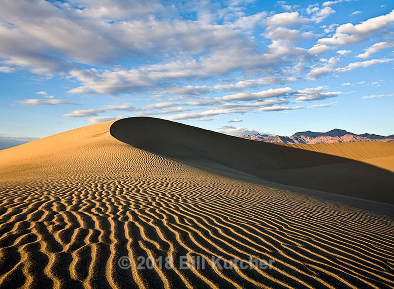 Lines in the Sand - Current Show