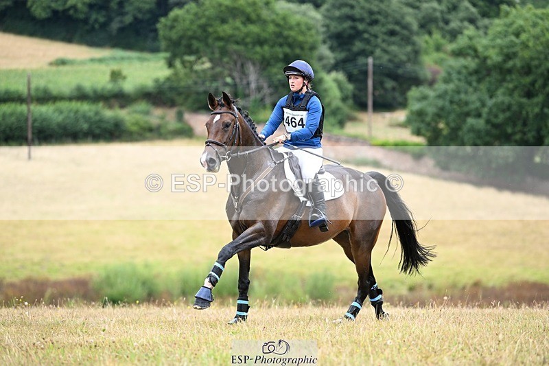 250803A-112055-11127 - K-464-Tamsin.Howard-HALAVELI