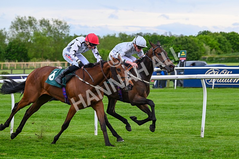 210526-Race 7-Velvet Rhythm-5061 - Race 7 17.27pm Racing Again 30th May Fillies' Handicap