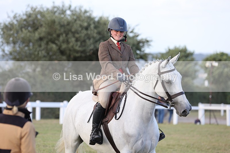 JPP_3688 - Class 24: Open Working Hunter