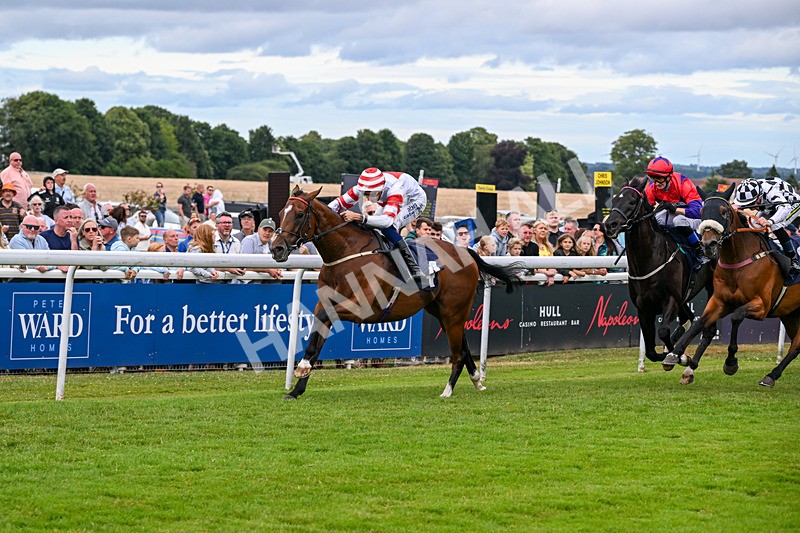 040726-Race 6-Highland Olly-5336 - Race 6 17.10pm Weatherbys Racing Bank Handicap
