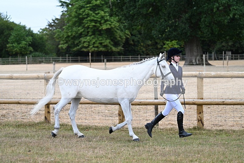 WJ7_8814 - Class 4a Prettiest Mare 14.2hh and over