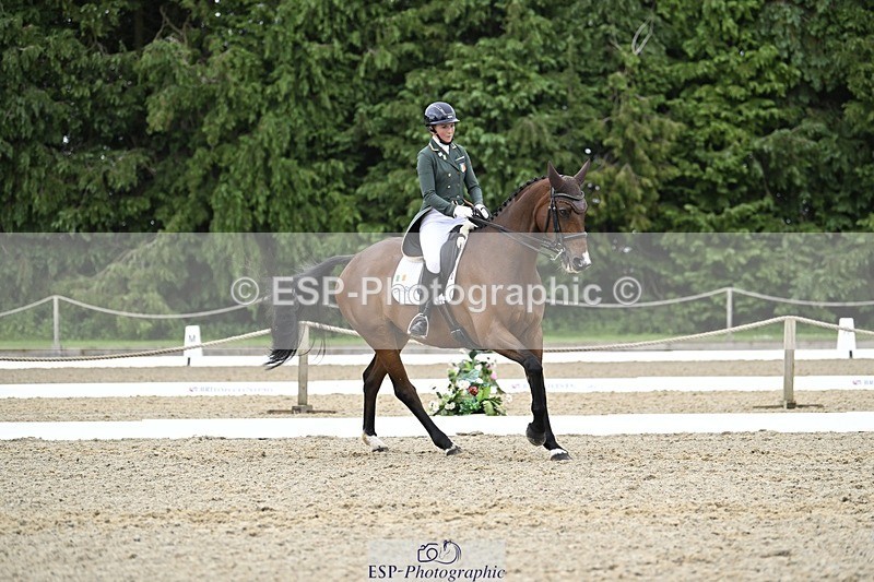 000101-212338-04290 - 412-WELLFIELDS_LINCOLN-Susie_Berry