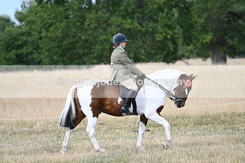 WJ7_7568 - Ridden Championship