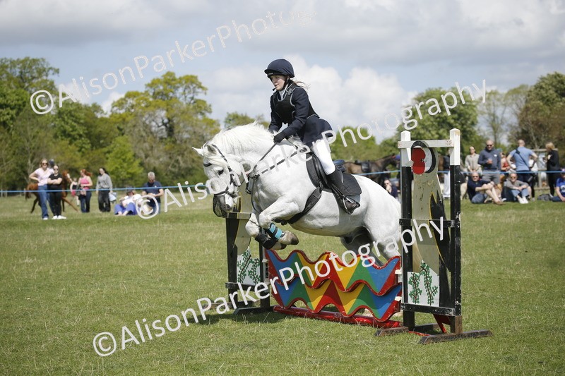20250427-3542 - Class 14 - Absolute Novice 70cm