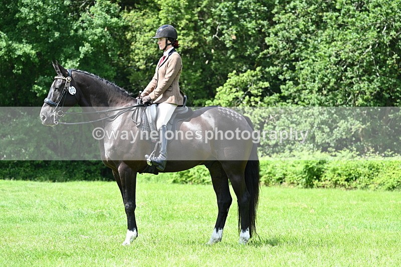 WJ7_1461 - Class 11 Condition & Turnout