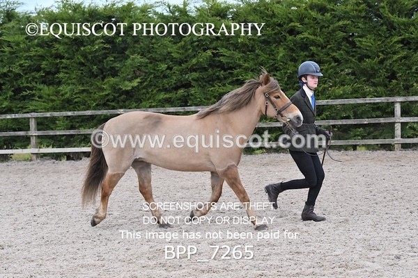 BPP_7265 - RING 1  (RIDDEN HORSES / IN HAND / VETERAN ETC)