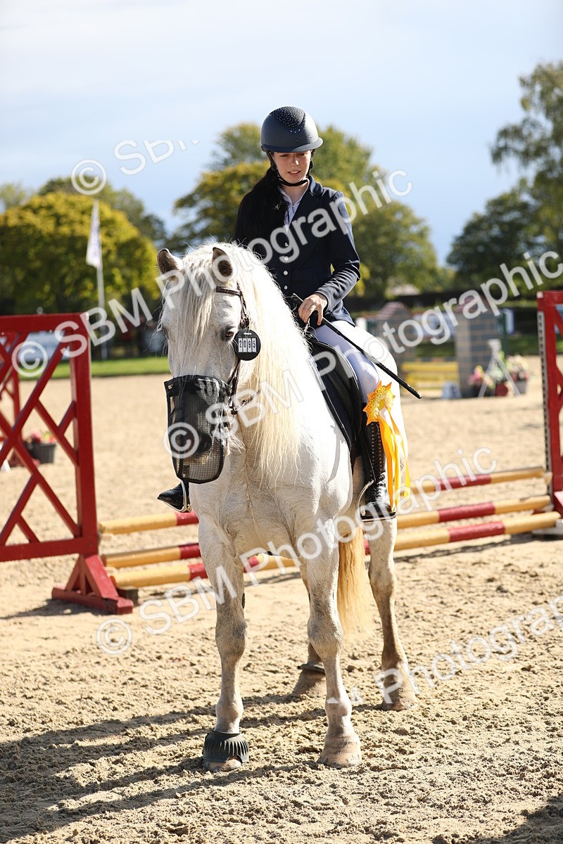 SBM_37371 - J20 - Junior Horse 50cm Championship