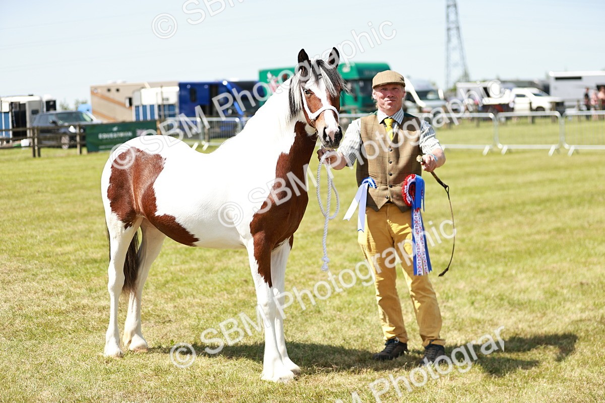 SBM_05532 - Class 41-45 - Riding Pony-Hunter Pony Breeding