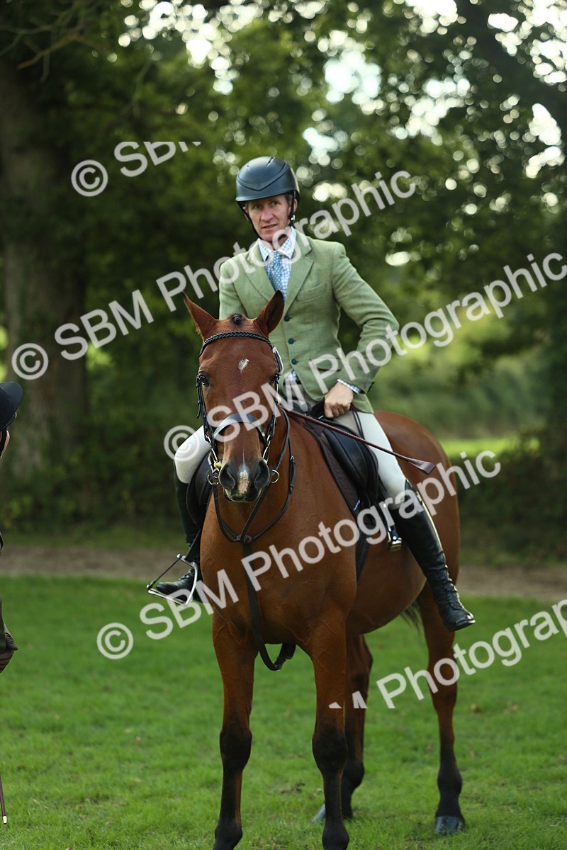 SBM_50735 - S33 - Working Hunter & Working Show Horse
