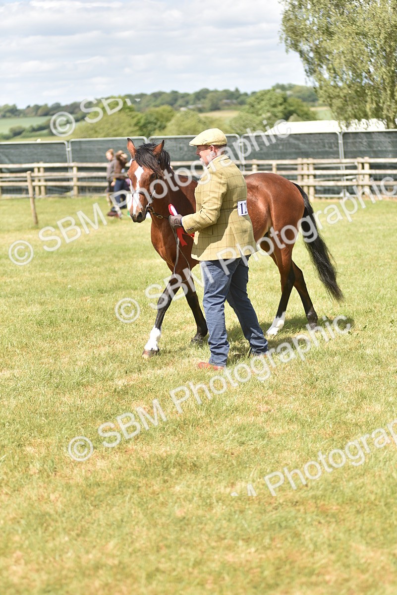 SBM_16107 - Class 117-122 - SSADL RIHS Qualifier
