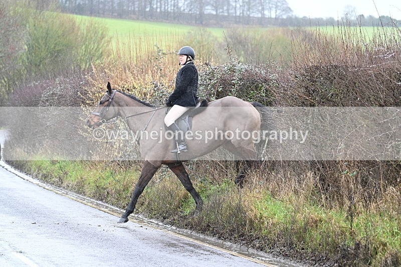 WJ7_6968 - Crossing A Camera