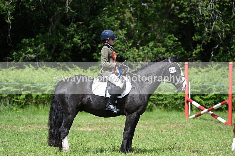 WJ7_1880 - Class 9 Pony Club Pony