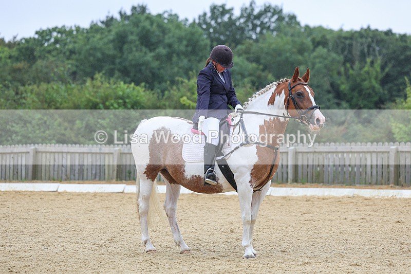 3E7A4809 - Class 1: Intro 4 2024 section A