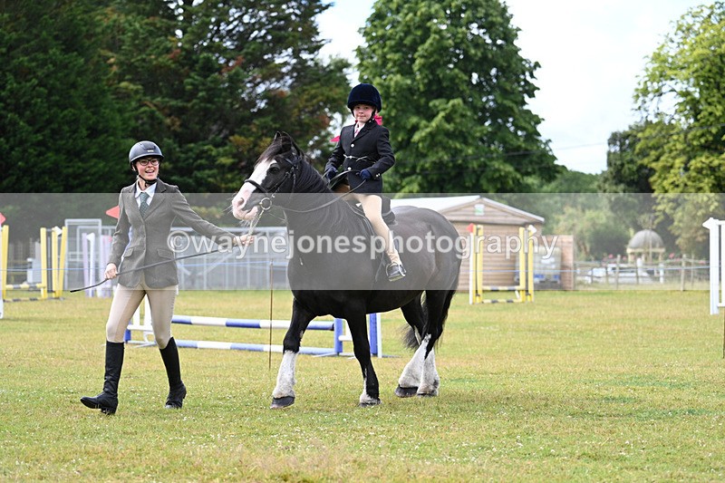 WJ7_4622 - Class 1 Lead Rein Pony