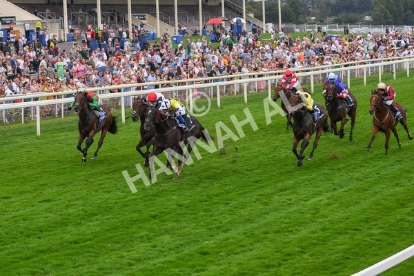 100923-Race 5-Commanche Falls-0878 - Race 5 3.50pm BetGoodwin Garrowby Stakes