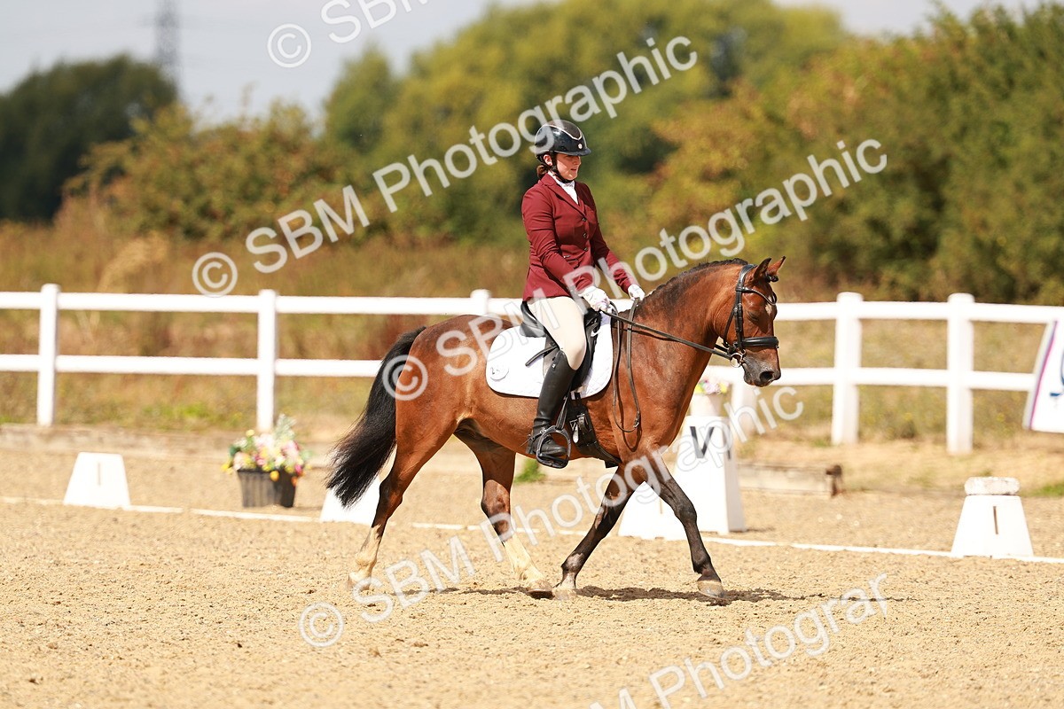 SBM_018640 - Class 9 - N5 Bronze 11.57.13.07