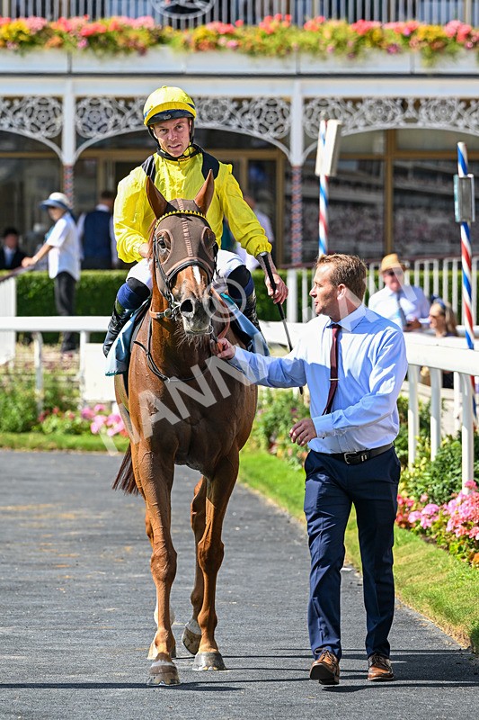 110726-Race 4-Raammee-7813 - Race 4 15.45pm John Smith's Cup