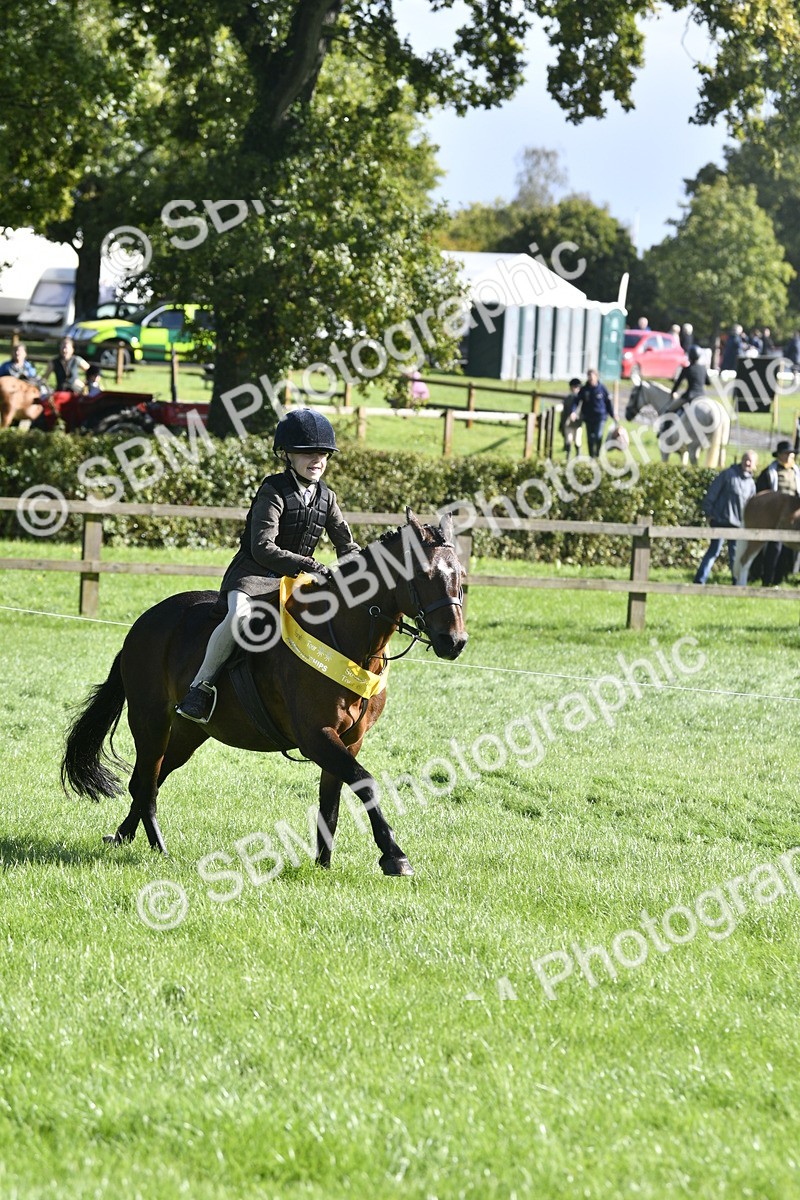 SBM_37254 - S31 - Novice & Newcomer Working Hunter Pony
