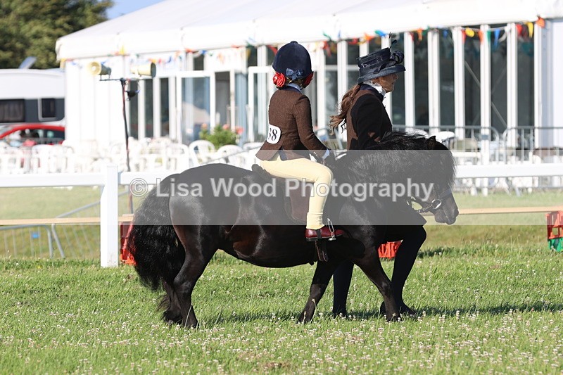 JPP_0666 - Class 16: Cornish Combination Leading Rein